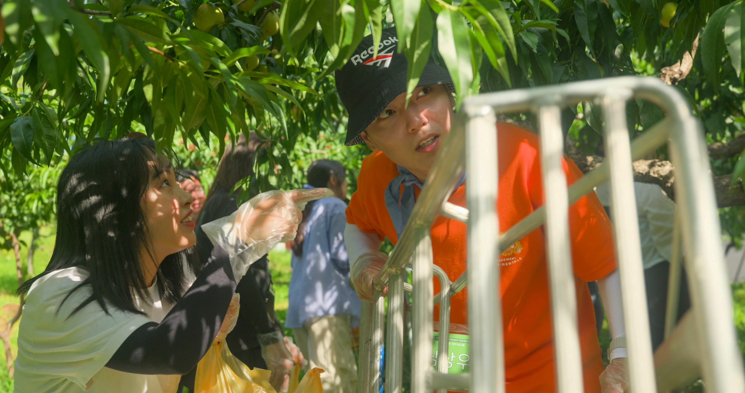 2025 영덕DMO_대게좋은생활 PART2 - 영덕 워킹데이 1-3편