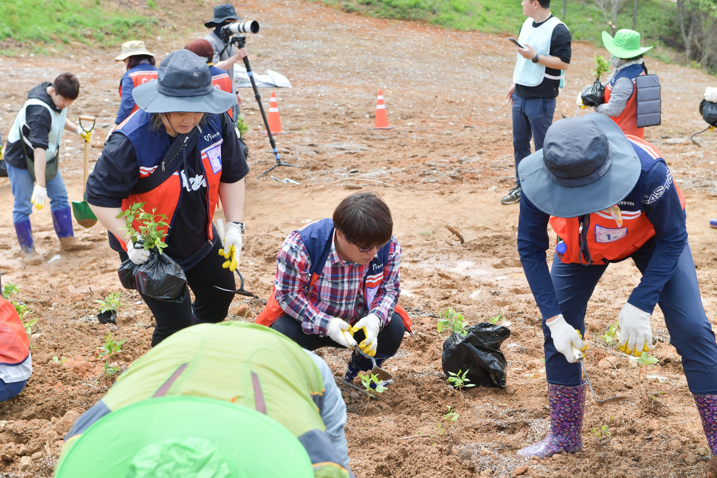 2025 영덕DMO_리부트 캠페인(진달래심기)3