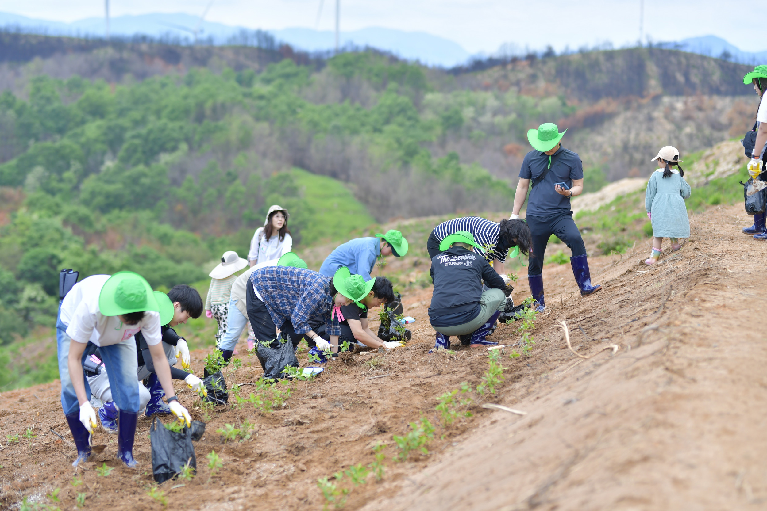 2025 영덕DMO_리부트 캠페인(진달래심기)4