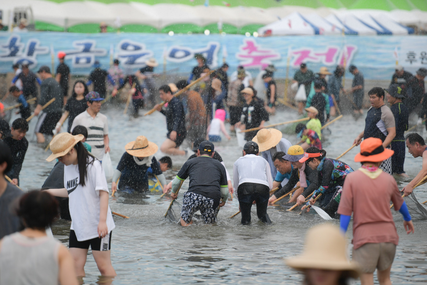 영덕황금은어축제4