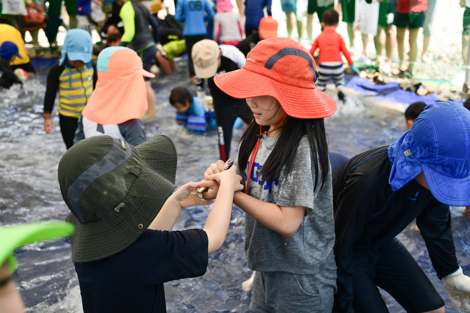 영덕황금은어축제2