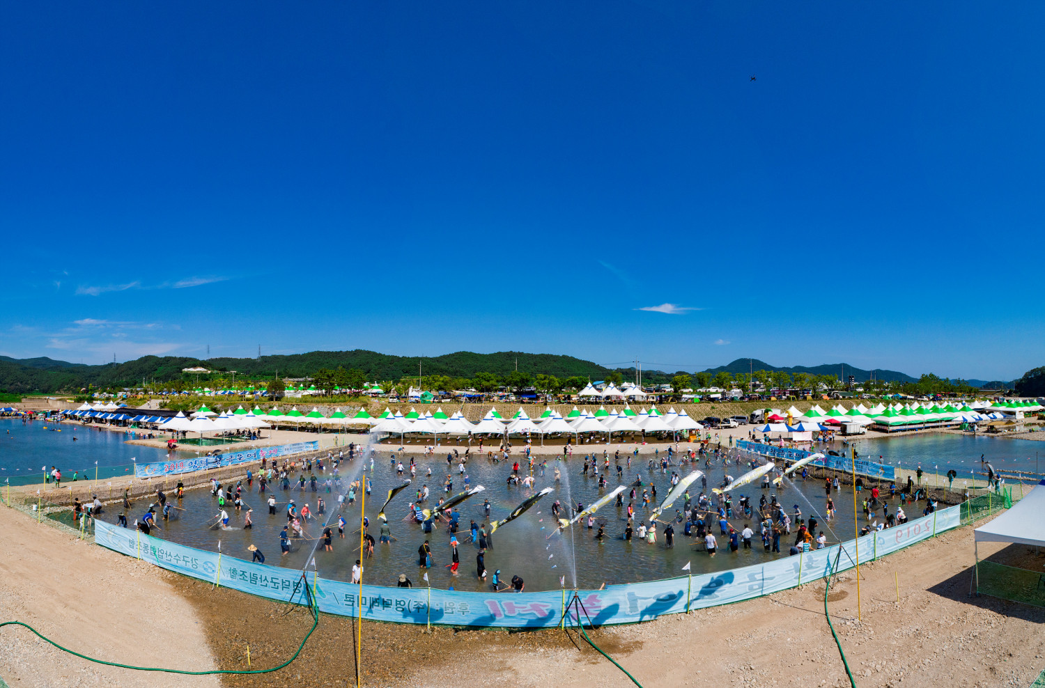 영덕황금은어축제5