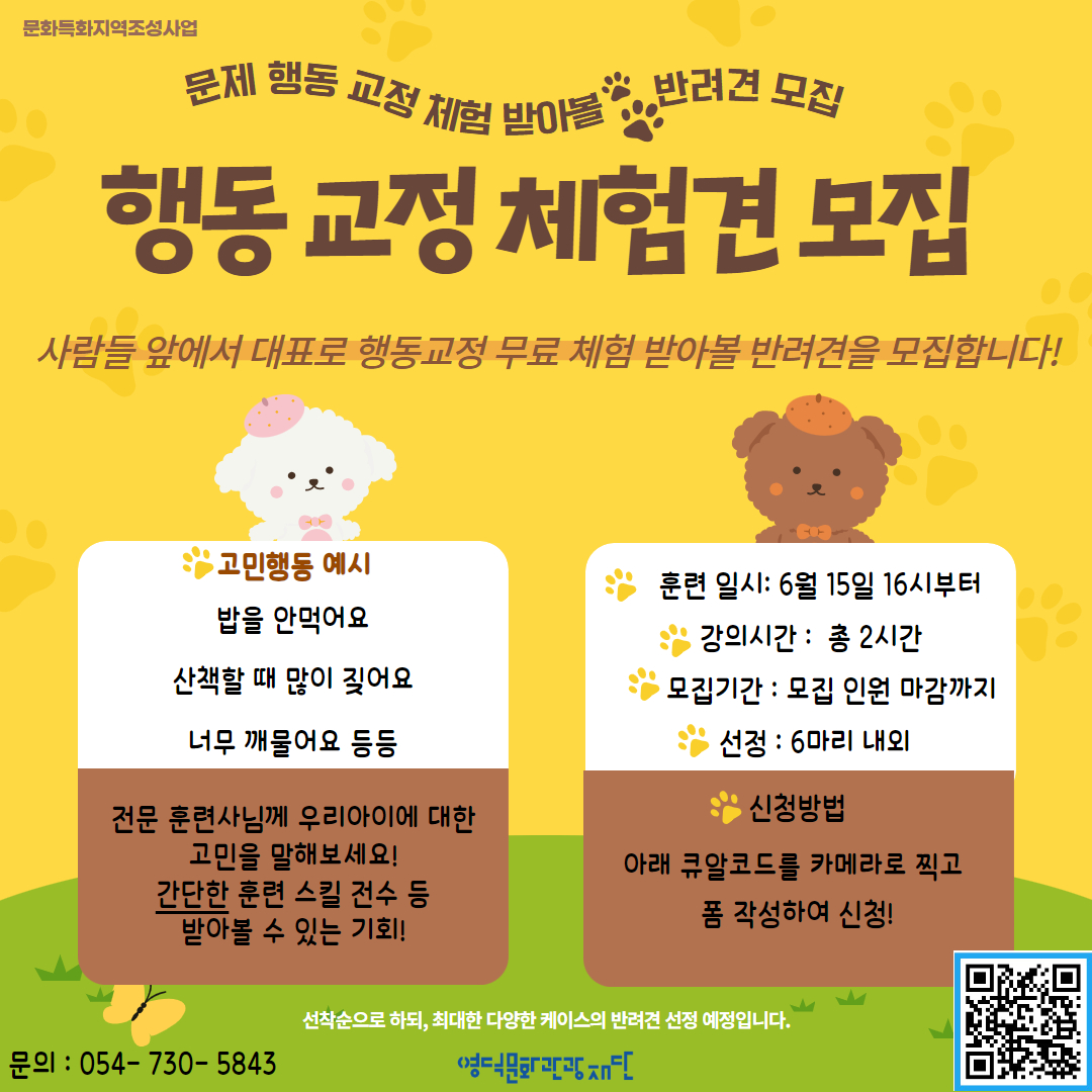📢[우다다다교류회] 🐕‍문제행동 교정 무료 체험 할 반려견🐶모집합니다!📢1