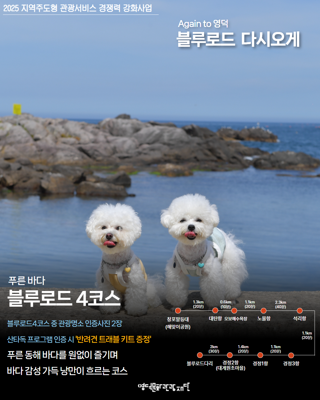 🏃♂️Again to 영덕 - 블루로드 다시 오게 (자유여행 프로그램) 2회차 참가자 모집 🐶2